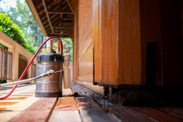 Best Affordable Pest Control Services  in Alma, NE