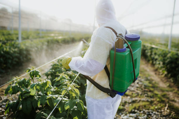Best Commercial Pest Control Services  in Alma, NE